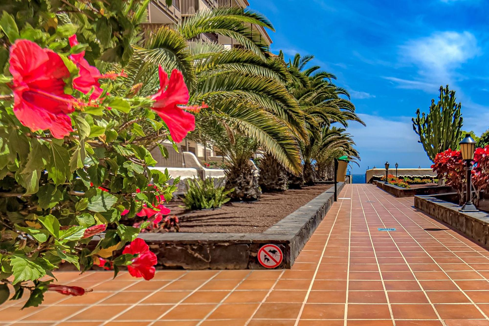 Atlantis 3 One Bedroom, Sea Front, In Complex With Pool Costa Del Silencio Dış mekan fotoğraf
